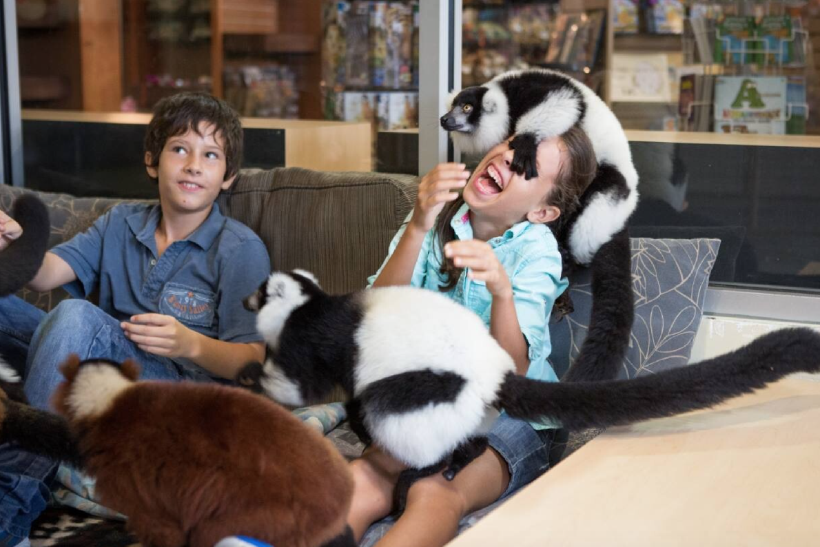 Тур на Остров Джунглей