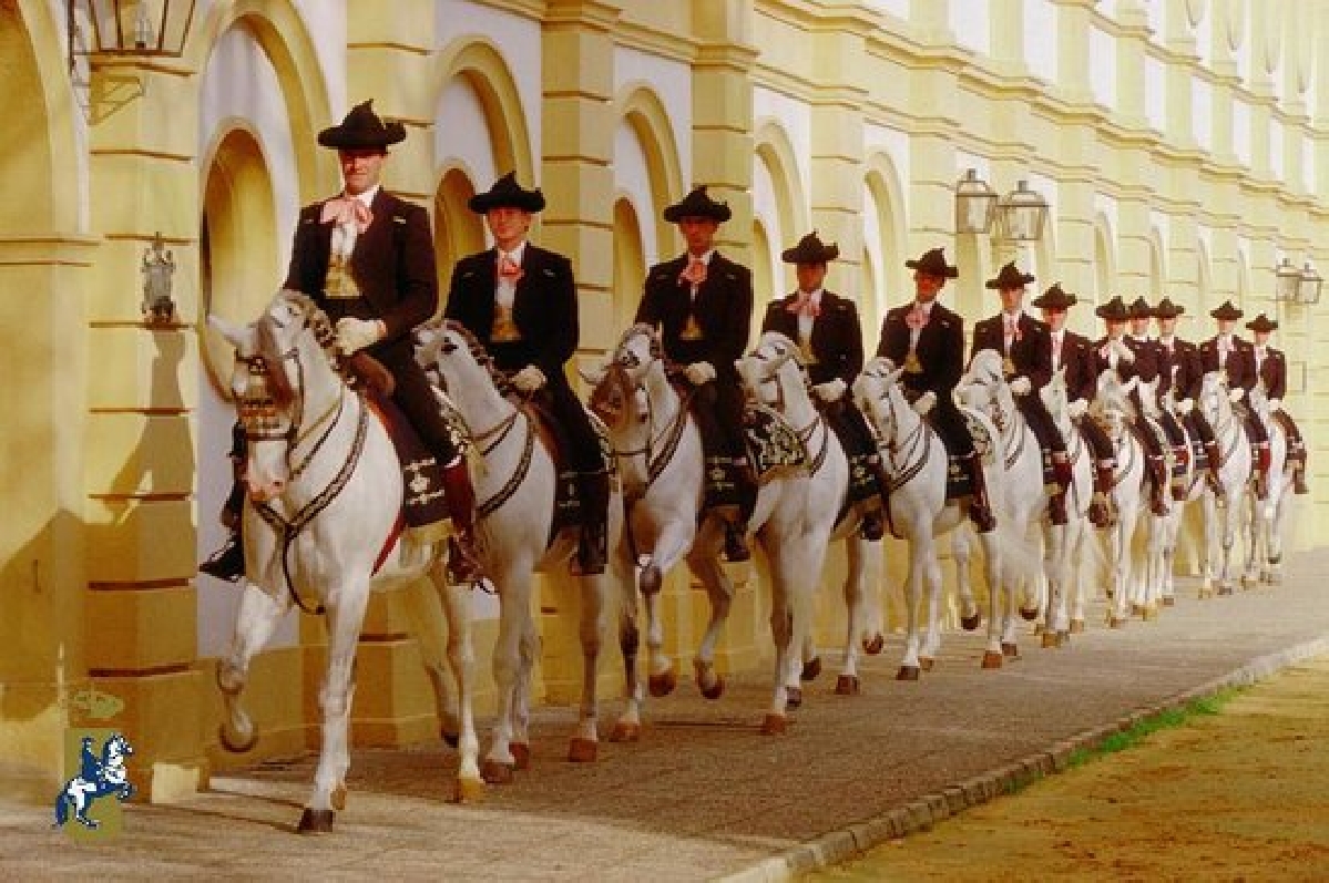 Добрый конь и добрый херес