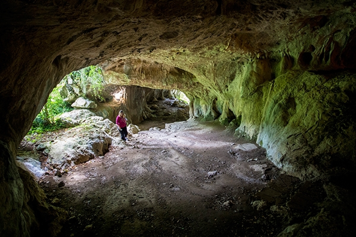 Тайны Баскских пещер