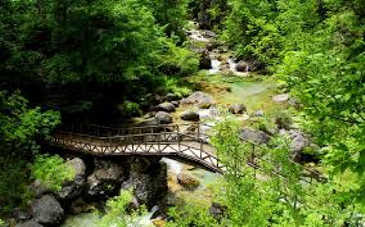 Ущелье Энипея – неизведанная тропа Олимпа 