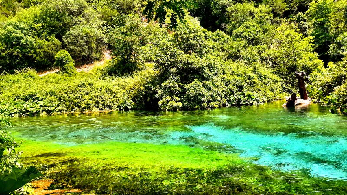 Гирокастра+ Голубой глаз 