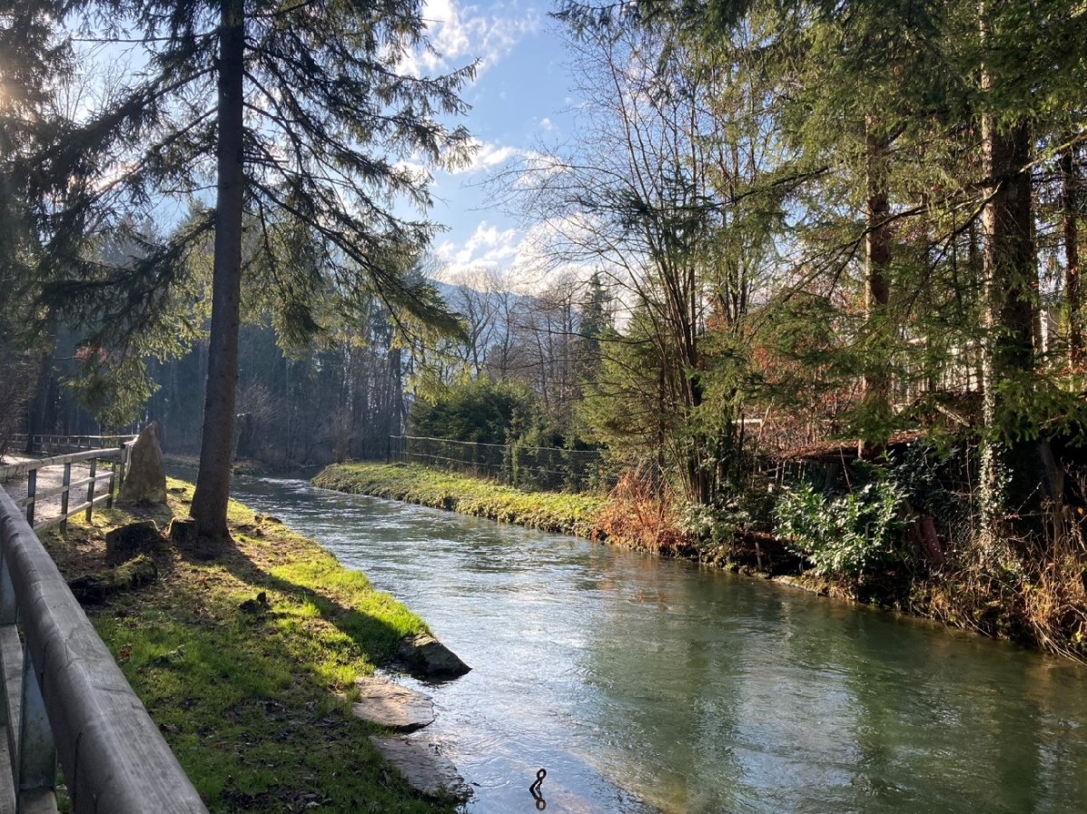 Русские в Зальцбурге: вчера, сегодня, завтра