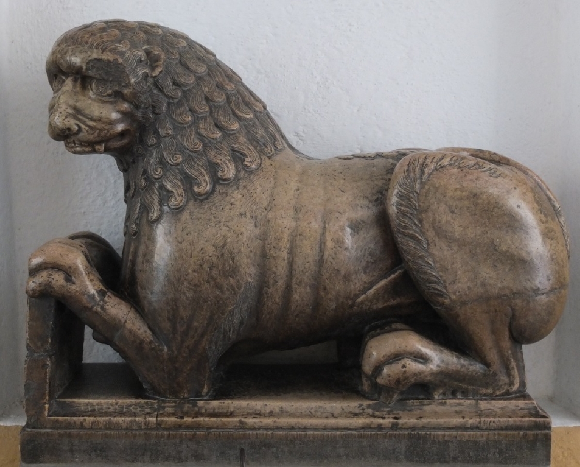 Фото-/Видео-ТУР: сделай прекрасные фотографии/видео