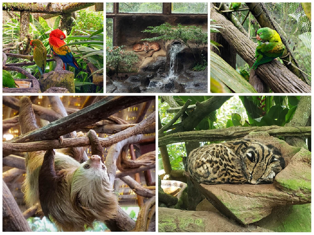 Природный парк Сады водопада Ла-Пас