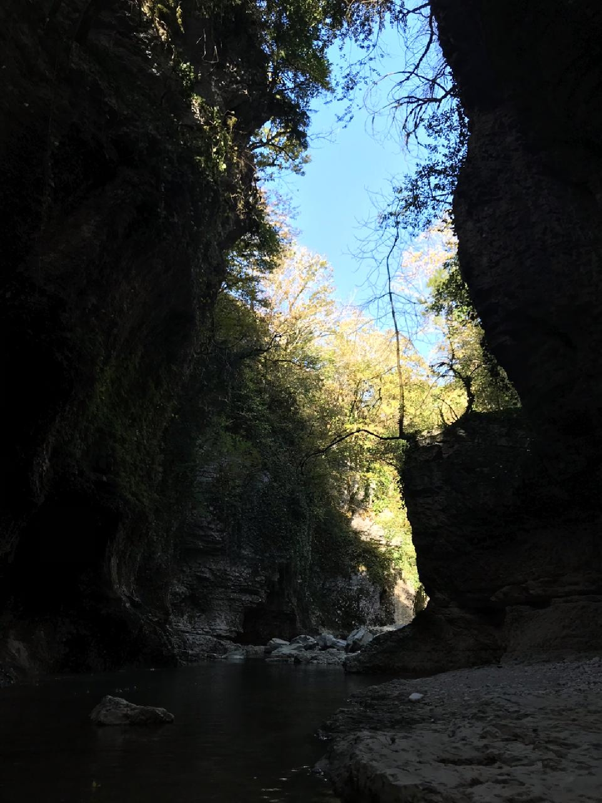  Все краски осени в горах ( РАЧА - ЛЕЧХУМИ)