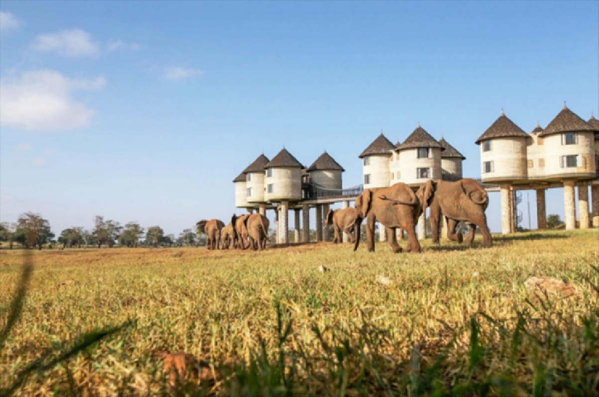 Заповедник Salt Lick