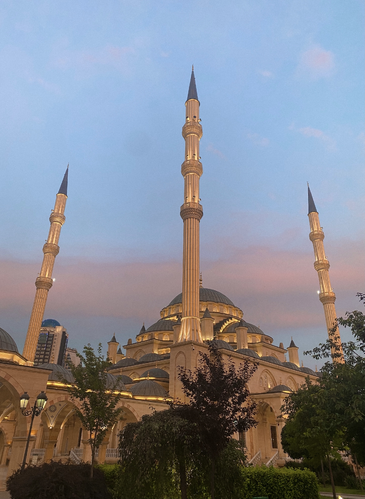 Обзорная Грозный, Аргун, Шали