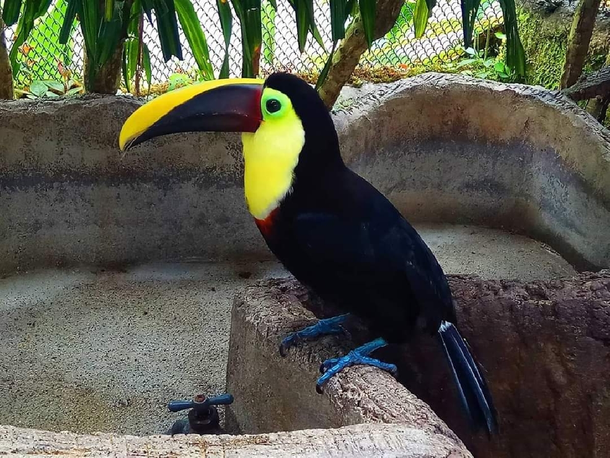 Парк водопадов Ла пас