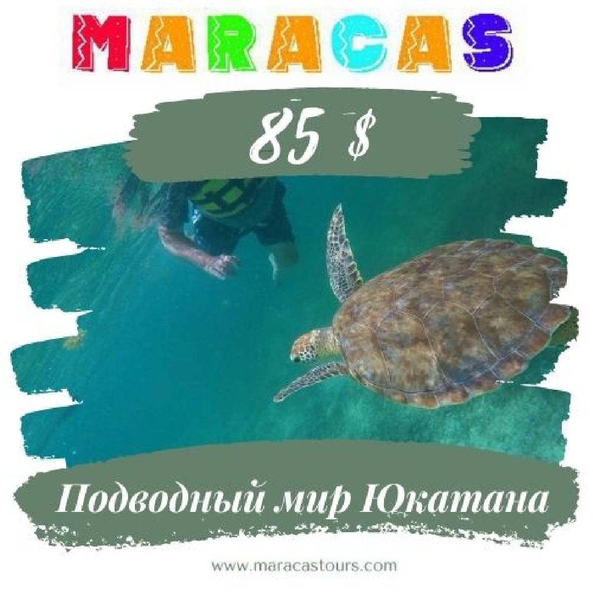 Подводный мир Юкатана 