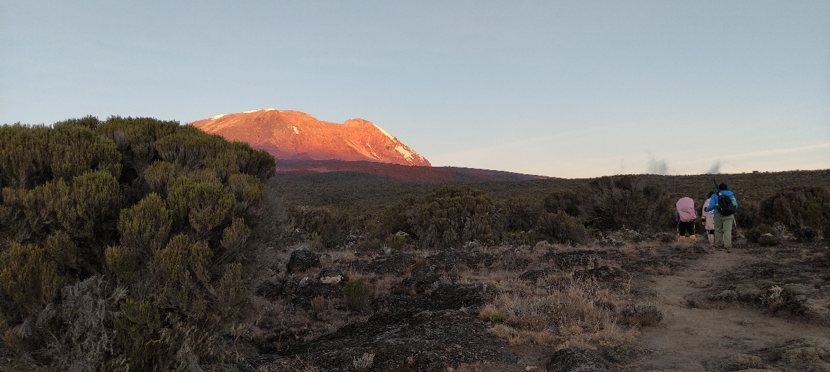 Сафари в парках Серенгети и Нгоронгоро 5 дней/ 4 ночи