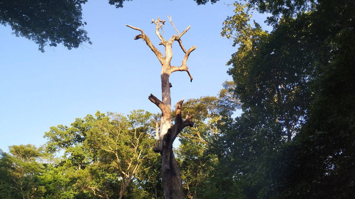 Национальный парк 