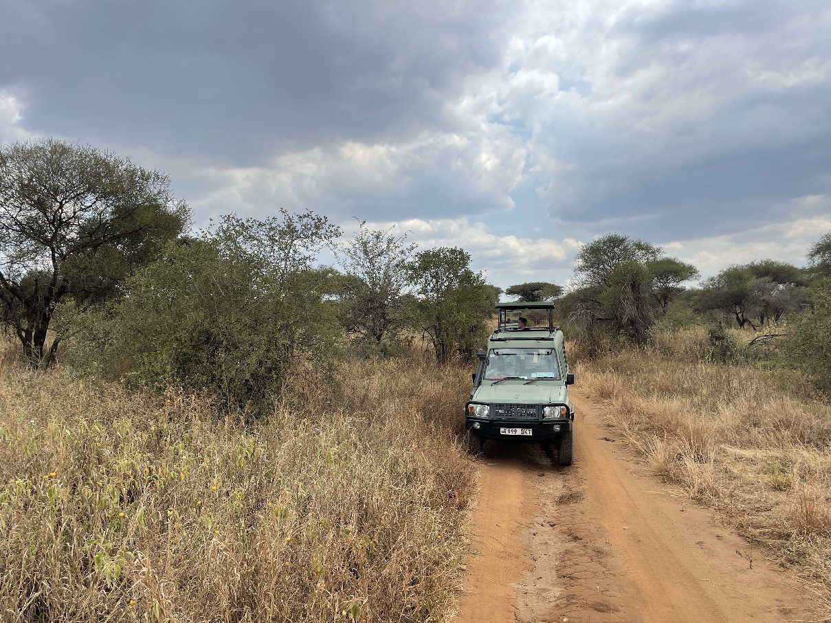 Сафари в парке Тарангире с ночевкой 1 день/1 ночь