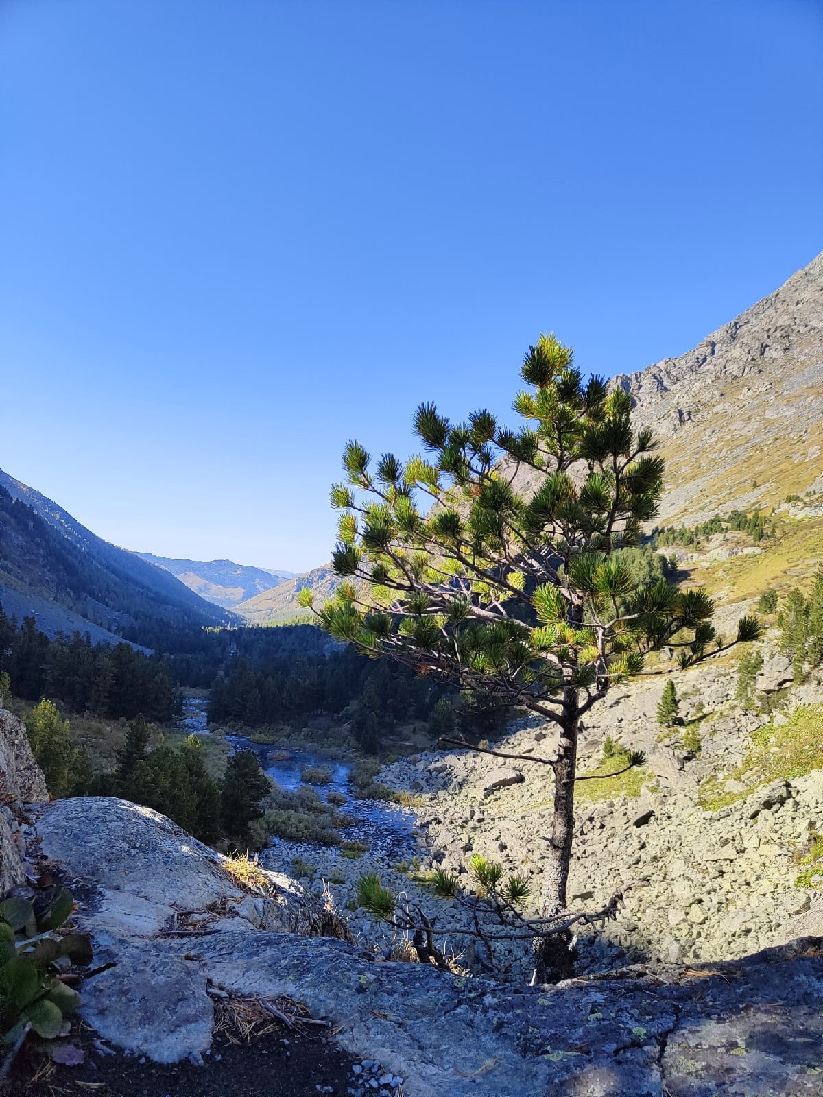 Мультинские озера