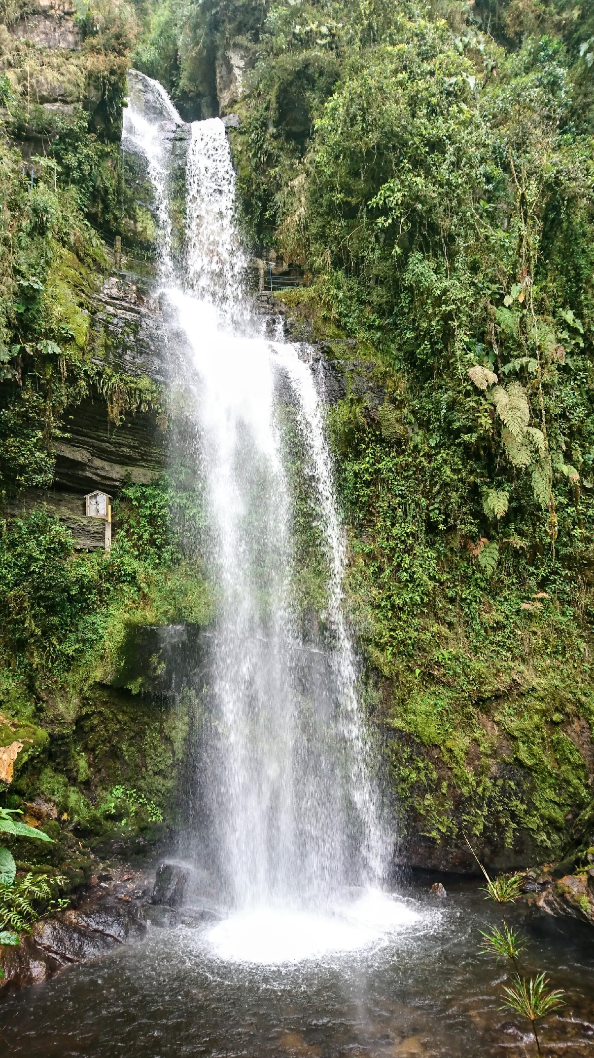 Трекинг на водопад Ля Чоррера
