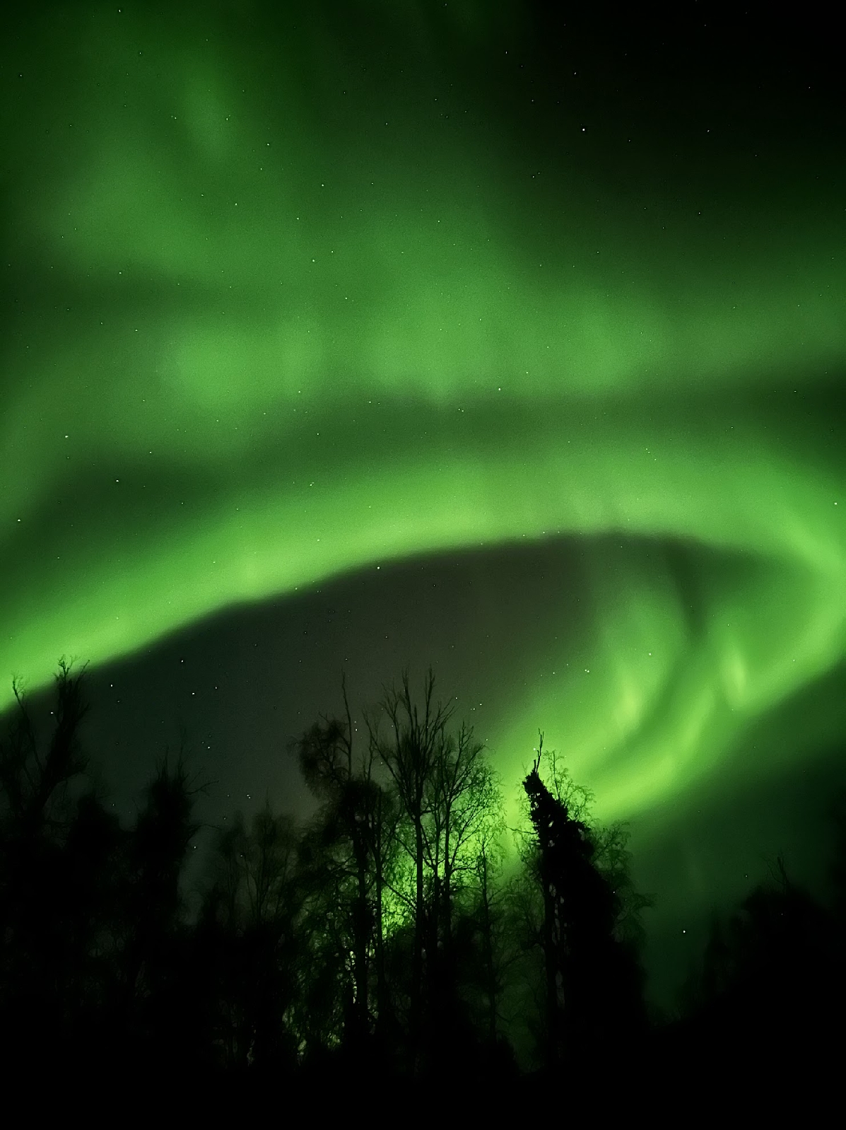 Зимняя Аляска