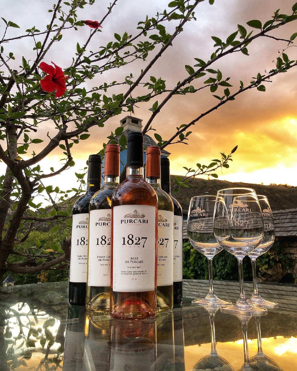 Винное путешествие Эт Четера-Пуркарь