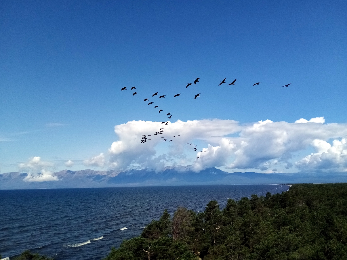 Исцеляющая Бурятия