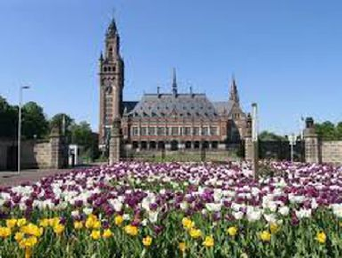 Амстердам + Гаага за один день 