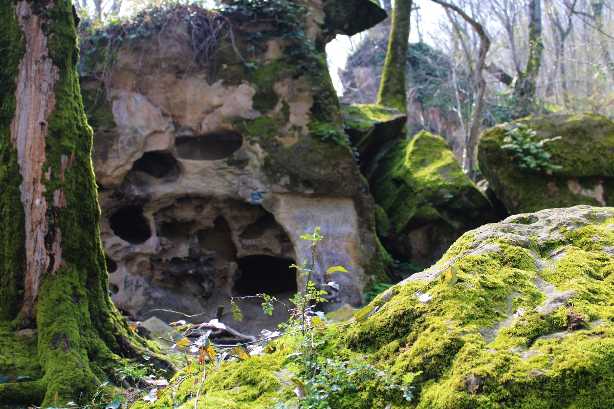 Шакалинные камни