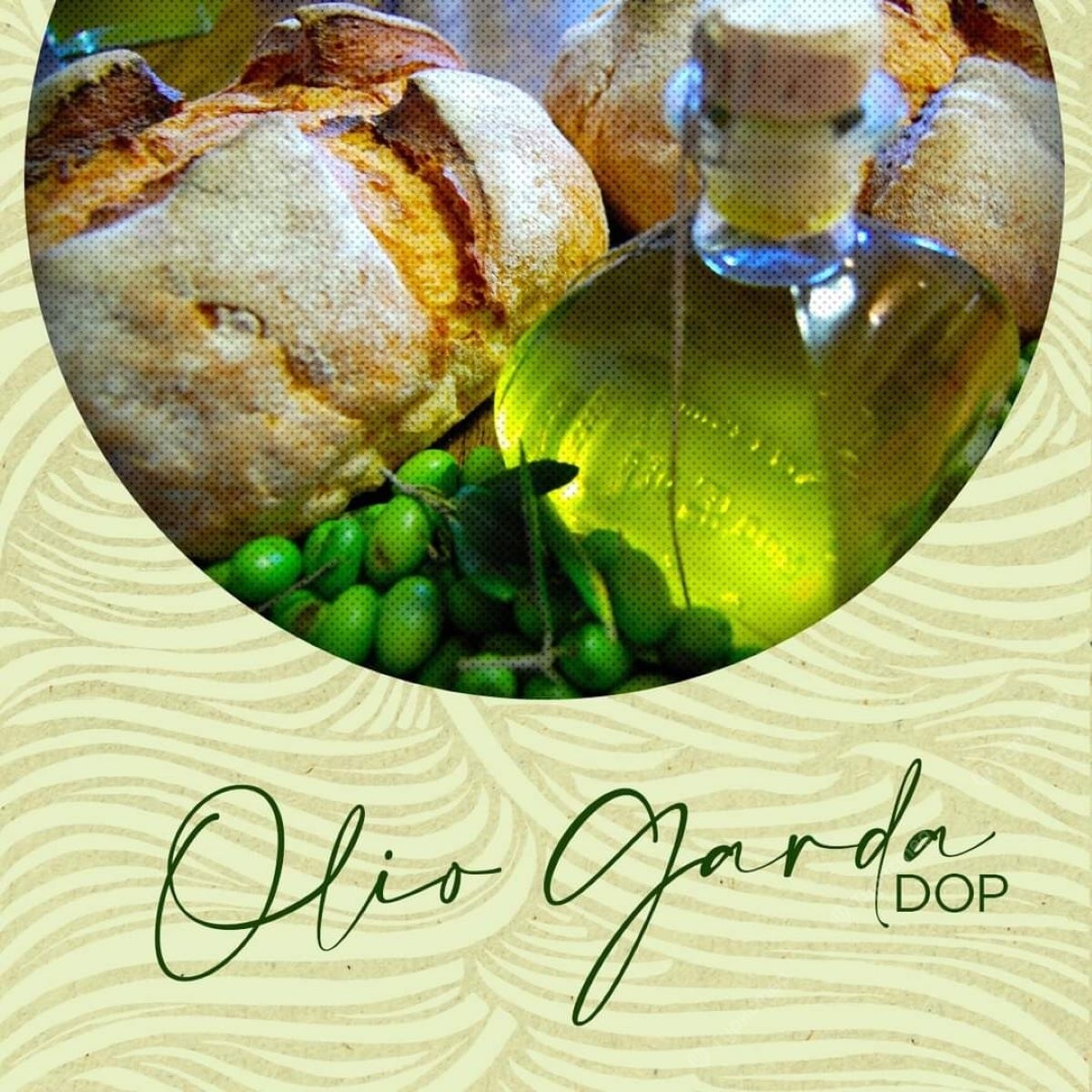 Оливковое масло озера Гарда