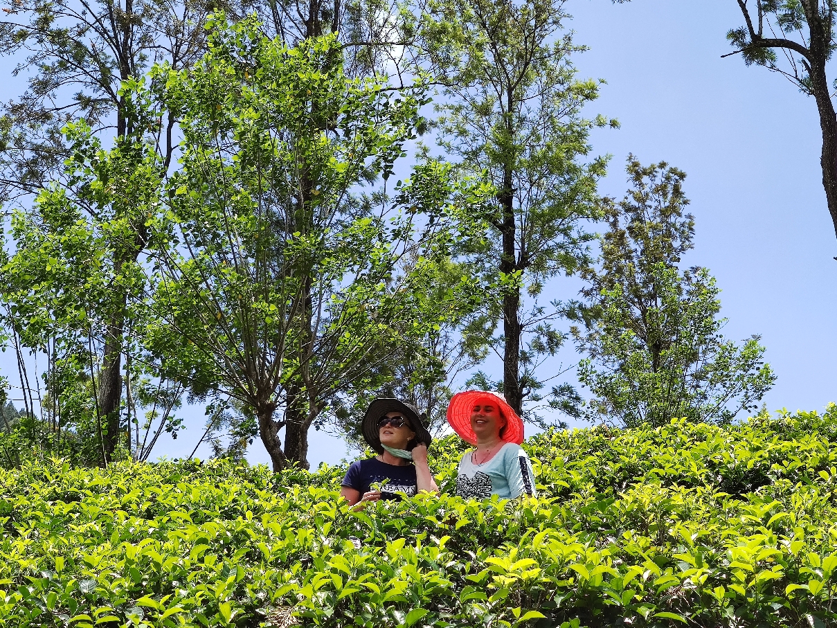 Экскурсия в Нувара Элию 