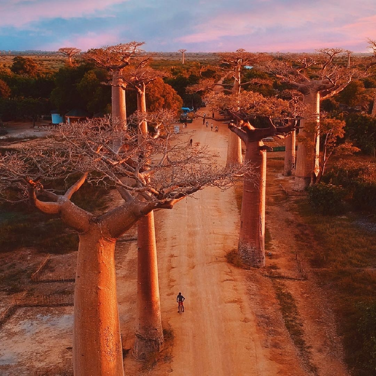 ОЛЕМУРИВАНИЕ, ЗНАКОМСТВО С БАОБАБАМИ И ГОРЫ ЦИНГИ 11 ночей/12 дней авиа