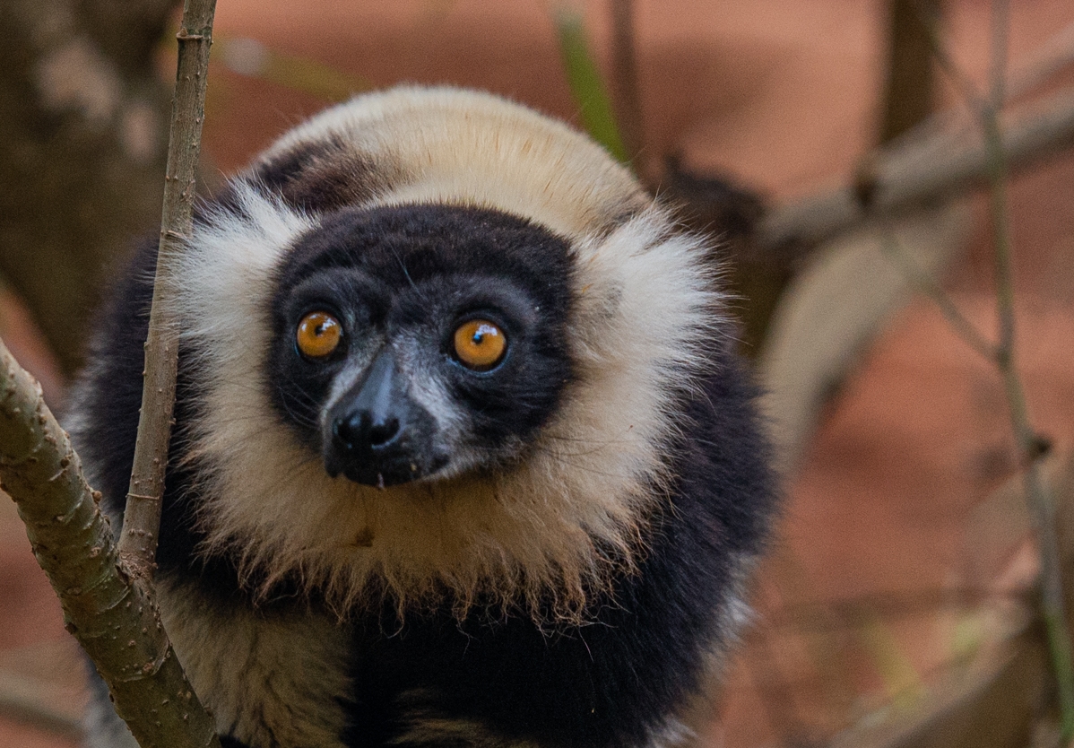 Составить программу вашего путешествия