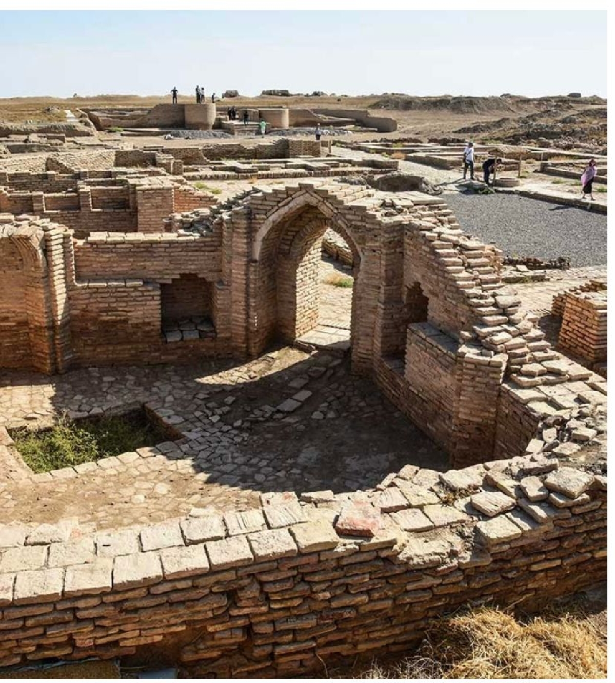 Город Сауран