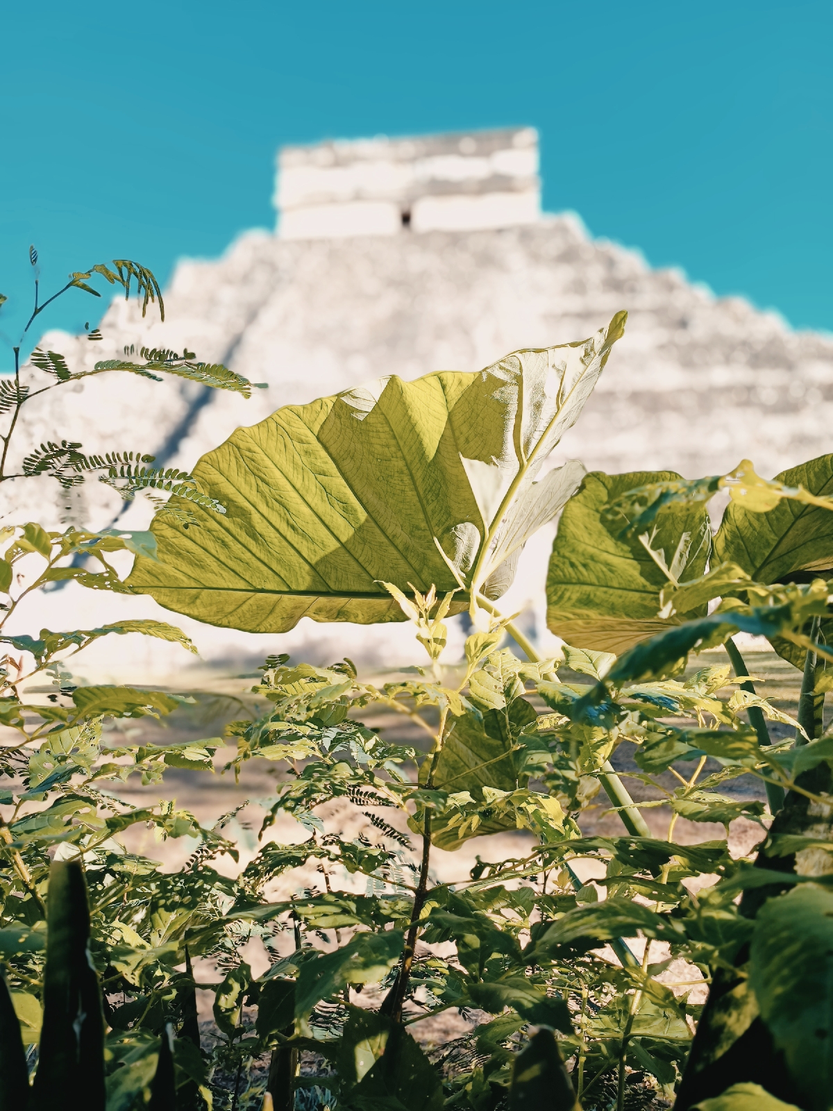 Чичен Ица - седьмое чудо Света