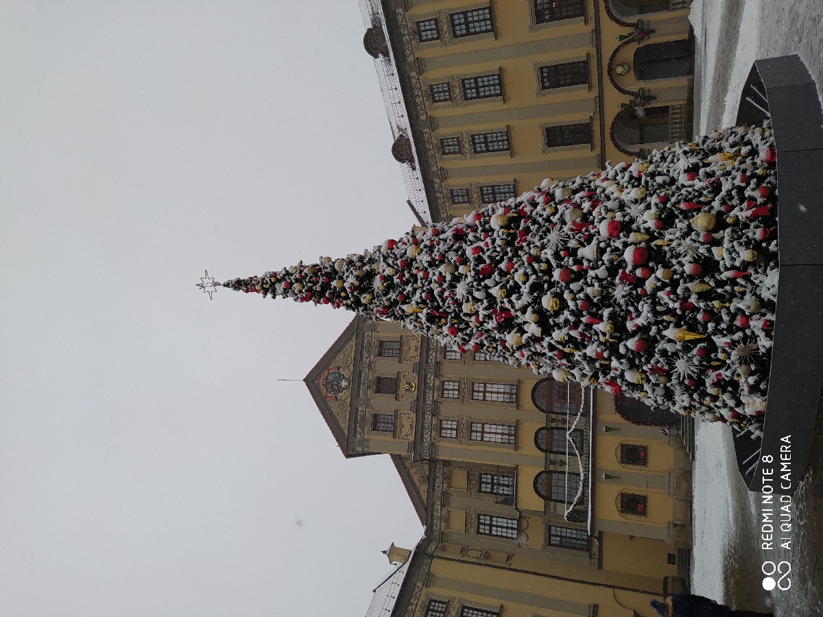 Экскурсия в Несвиж 