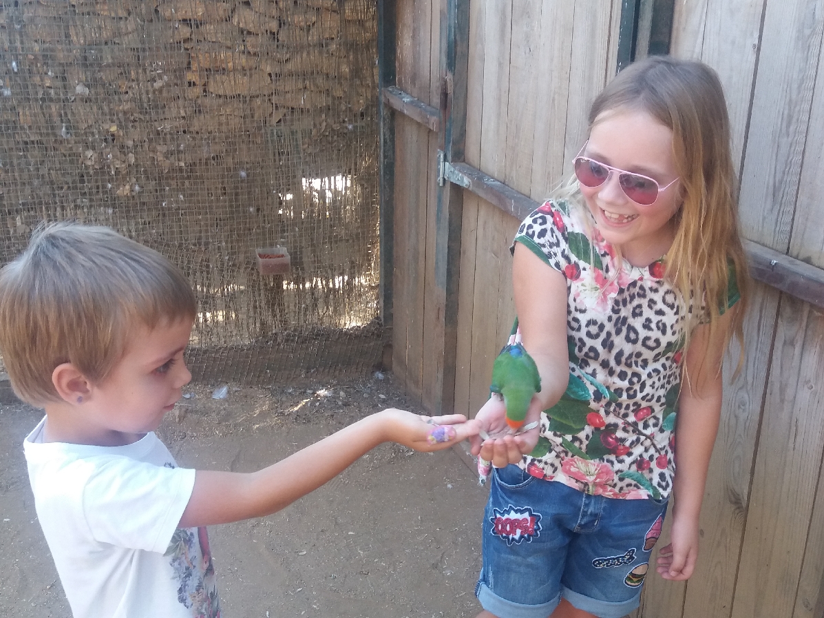 Экскурсии с детьми