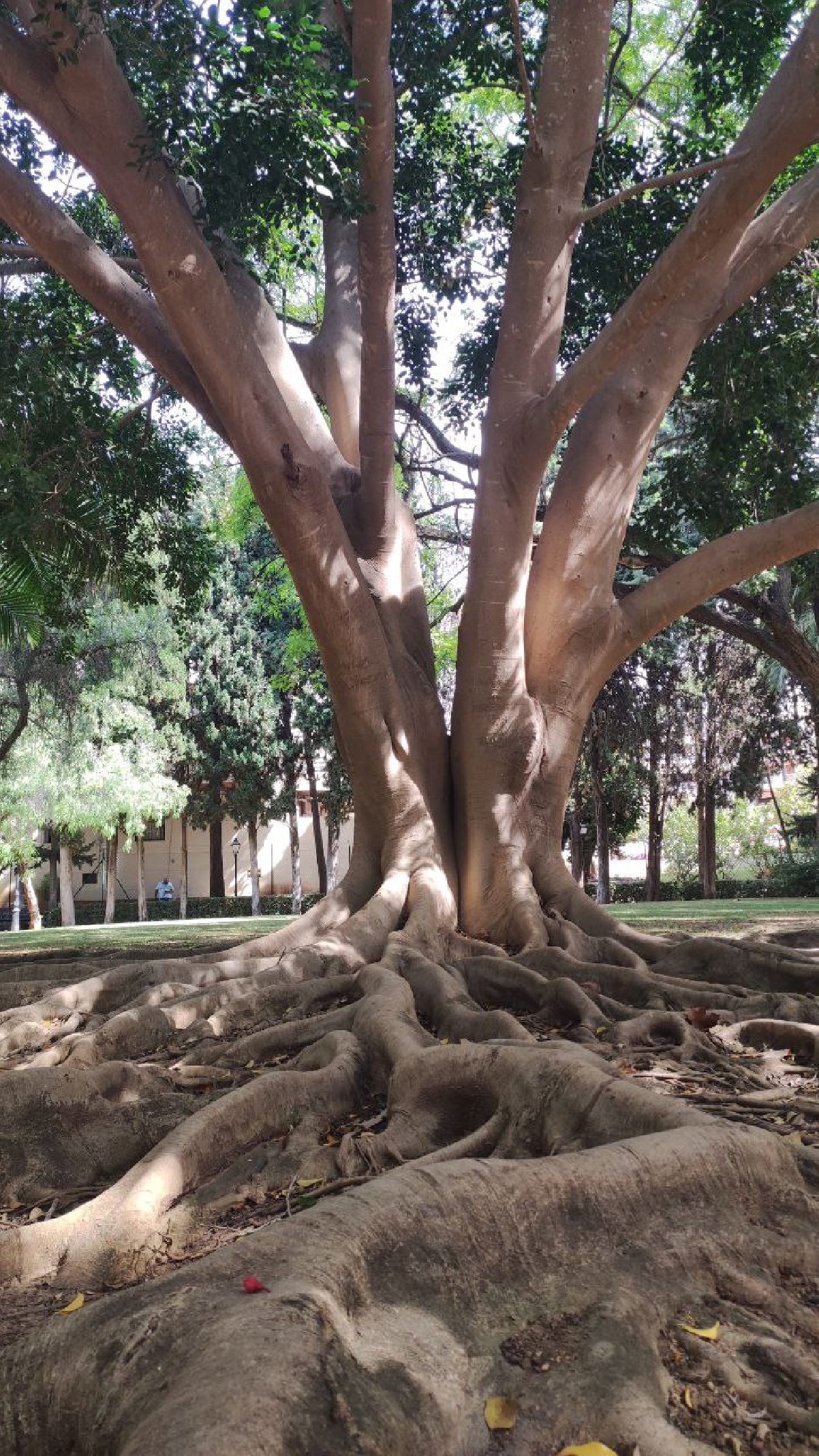 Природа Андалусии