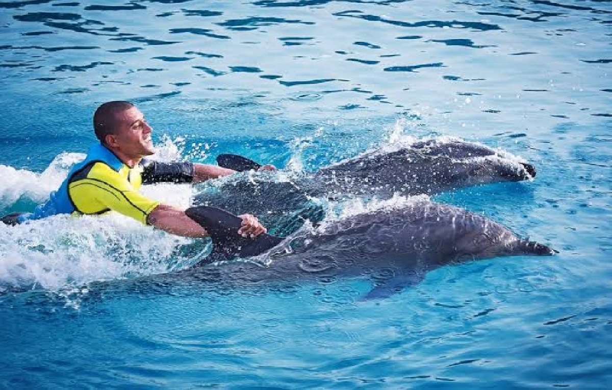 ДЕЛЬФИНАРИЙ ДУБАЯ