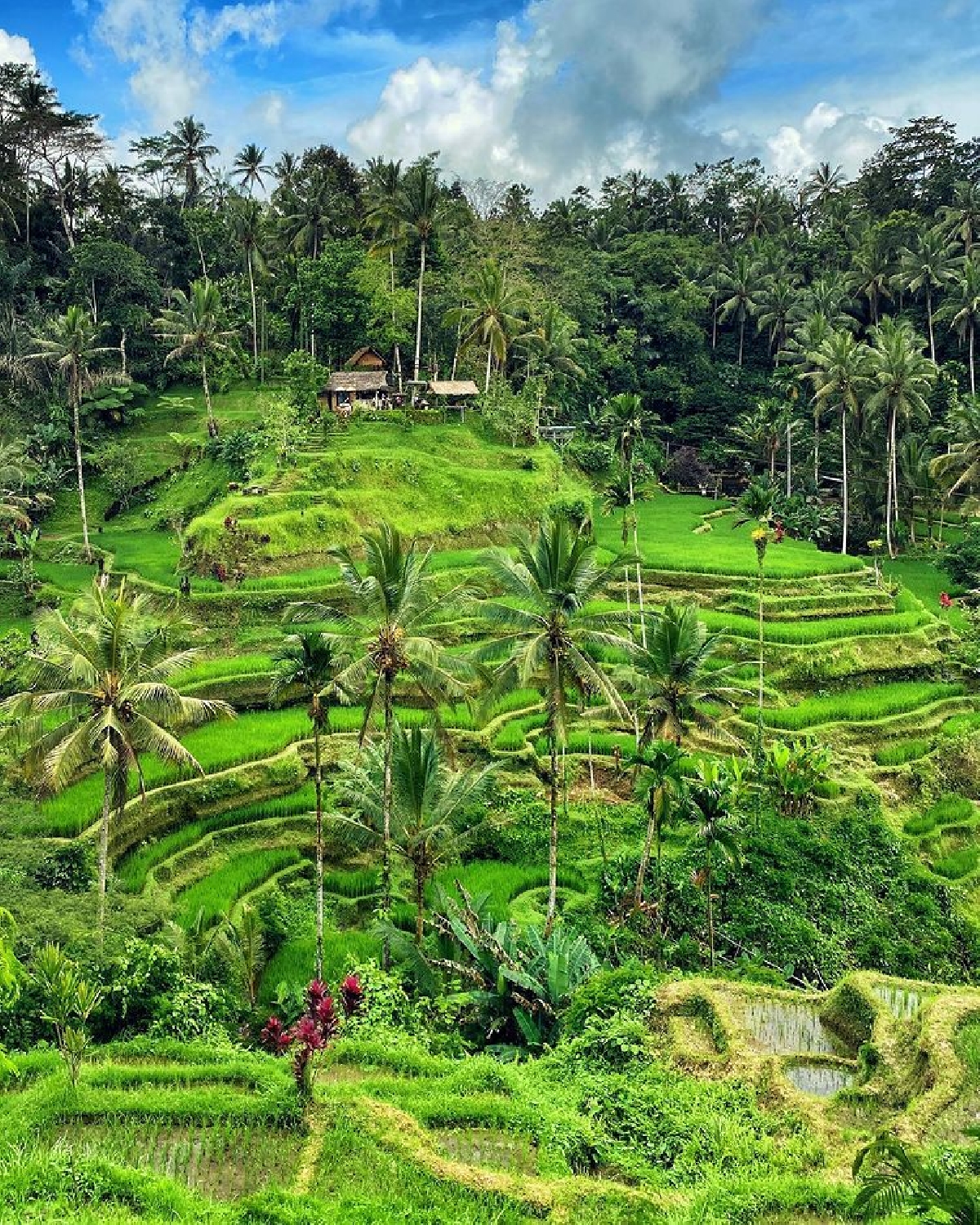 Знакомство с островом
