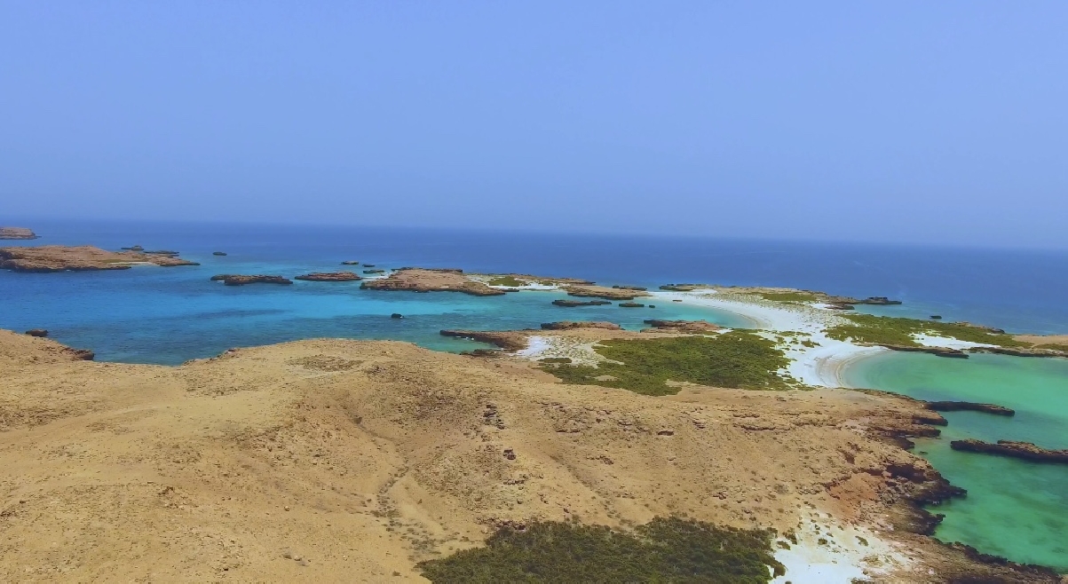 Морская экскурсия на катере