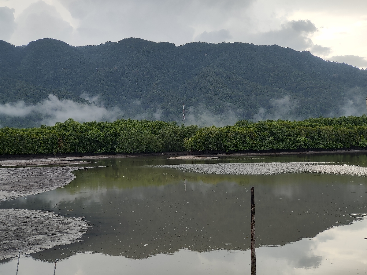 Экскурсия по нетуристическим мангровым каналам района Кубанг Бадак 