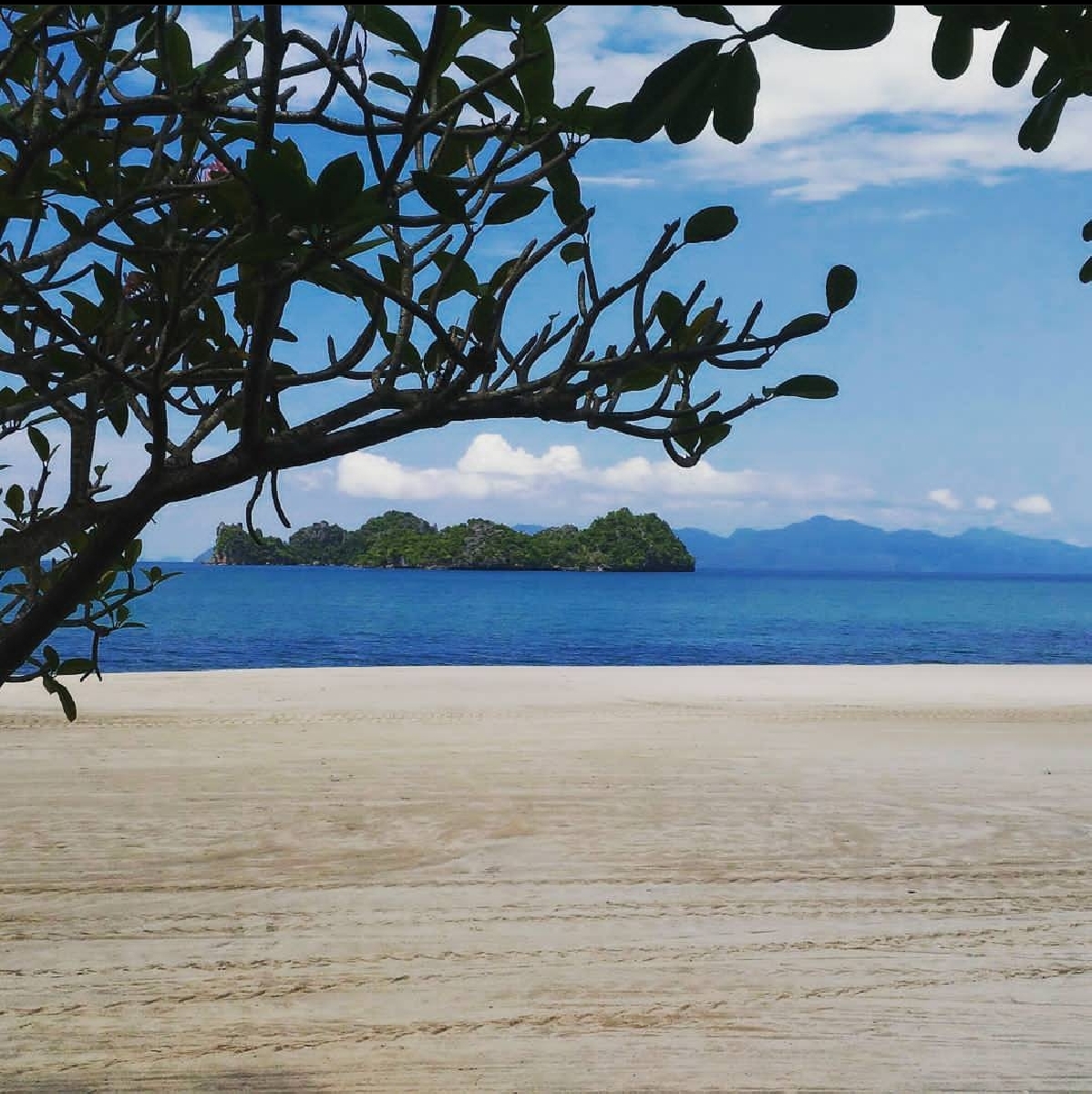 Программа максимум на целый день 