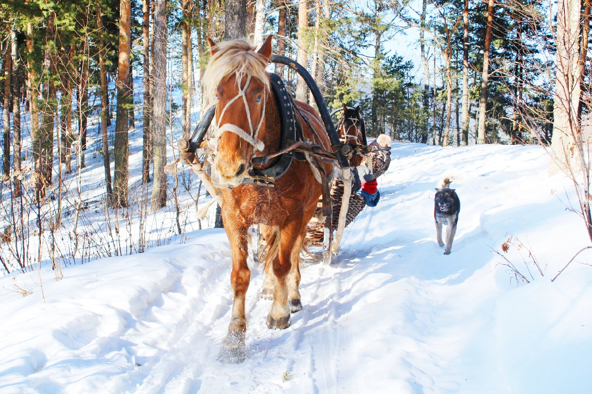Уральские узоры