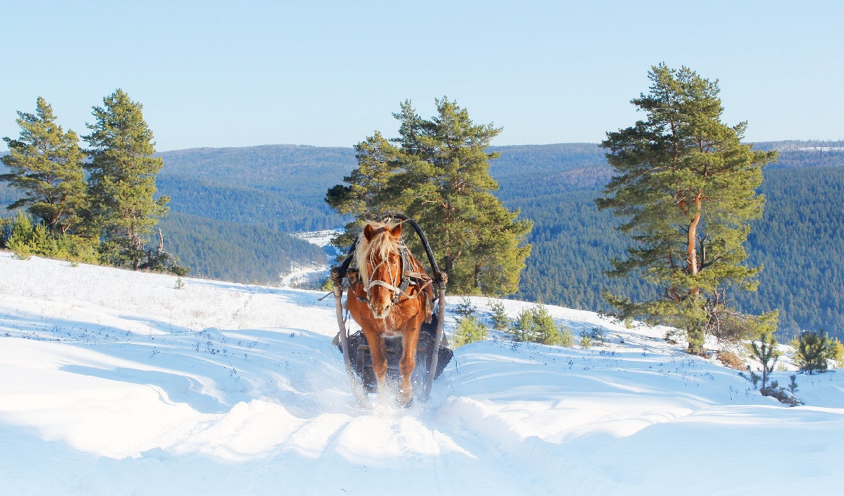 «Снежный Крака»  3 дня/2 ночи