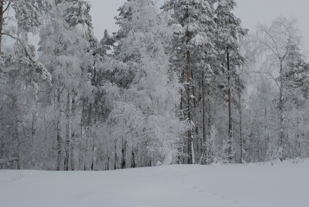 «Конно-санное приключение»  5 дней /4 ночи