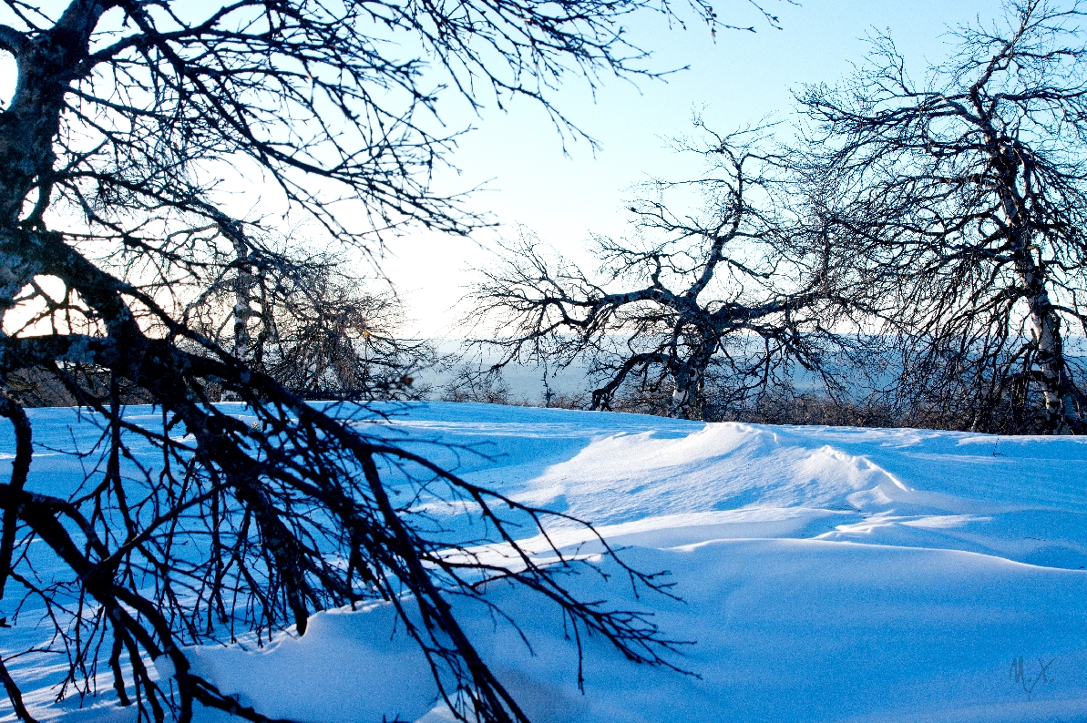 «Башкирия для Вас: от Уфы до Шульган-таша»  5 дней /4 ночи