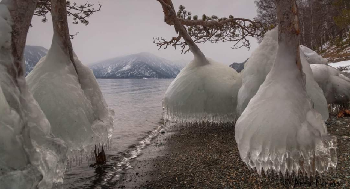 Тур на Алтай. Зимние красоты Горного Алтая. 6д/5н.