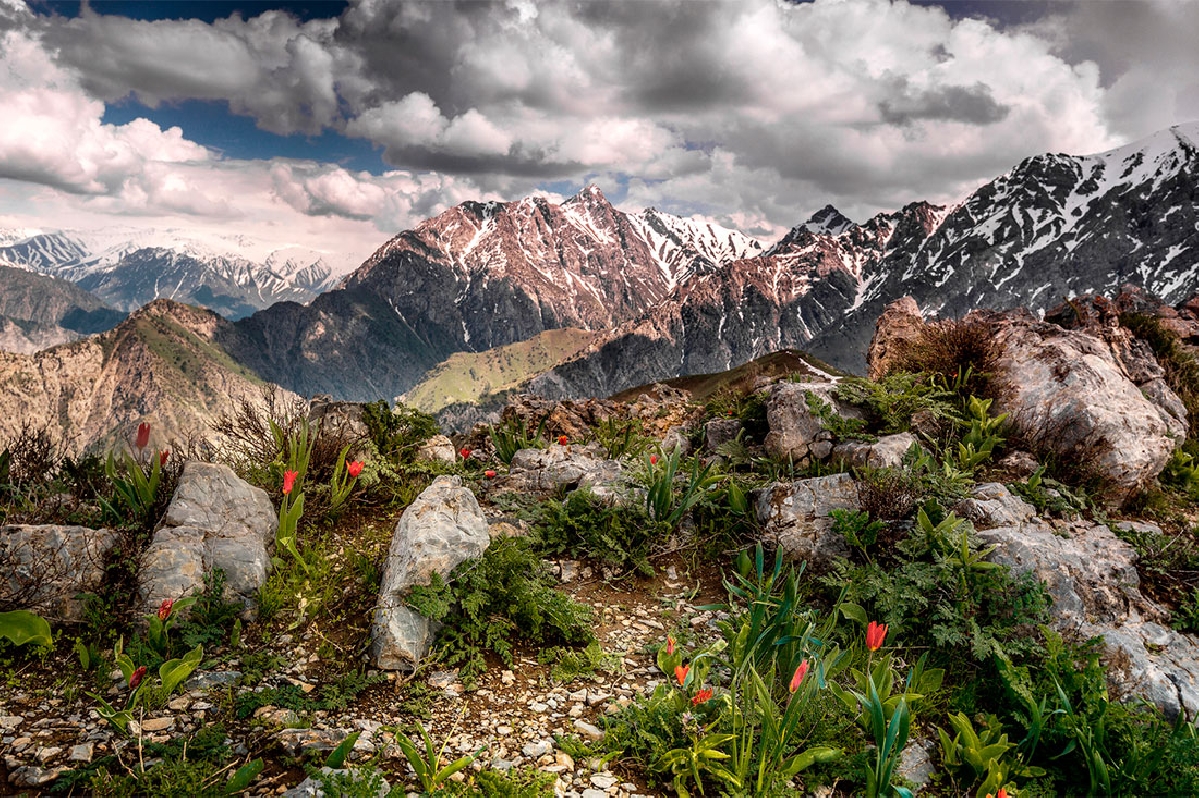 Горы чимган узбекистан фото