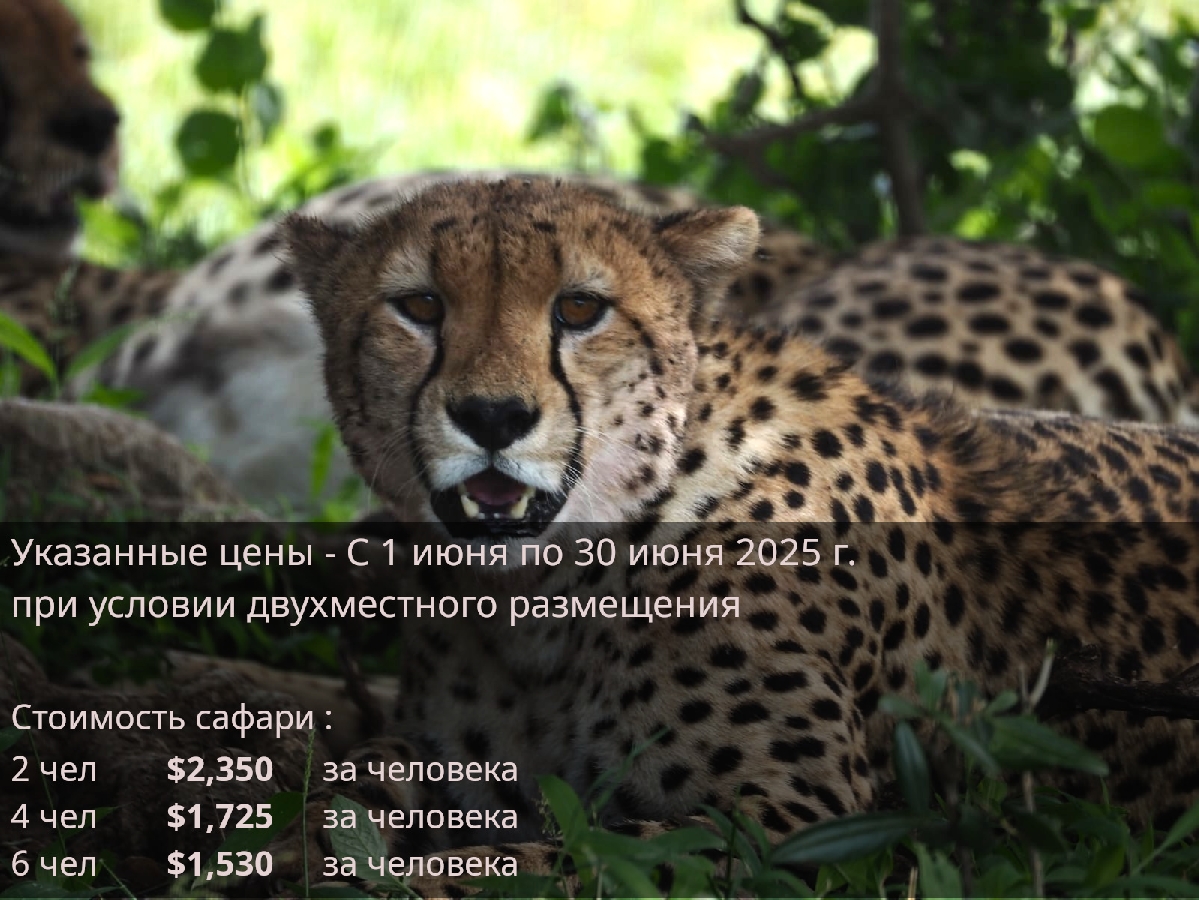 6 дней и 5 ночей Сафари в Кении 2025