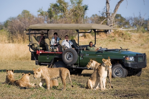 Full day Safari Tour to Chobe National Park in Botswana