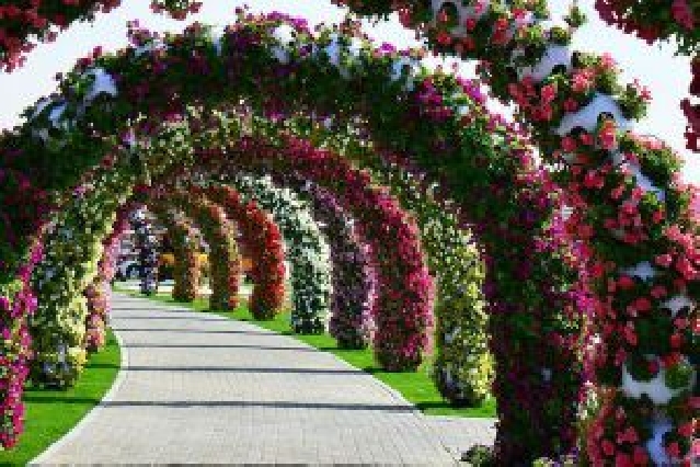 Парки Цветов в Дубаи и Аль Айне