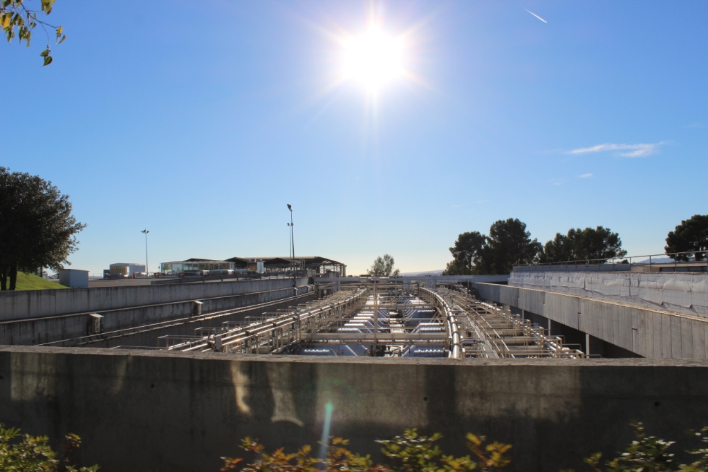 Дегустация вин