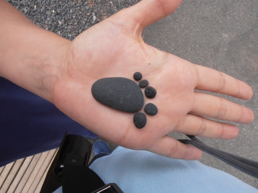 Фуэртевентура для детей и их родителей