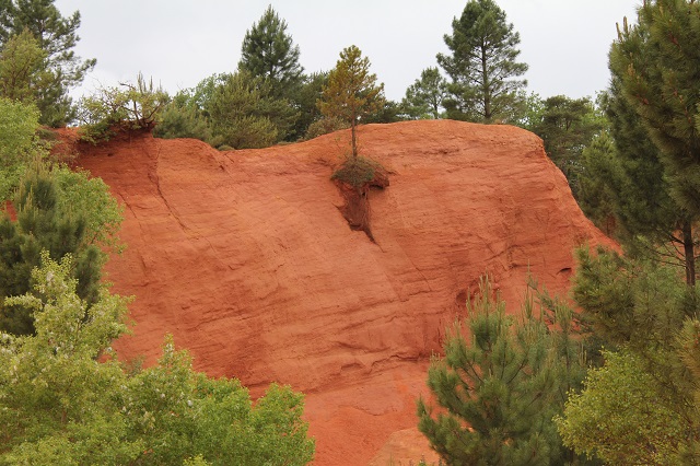 Провансальское Колорадо