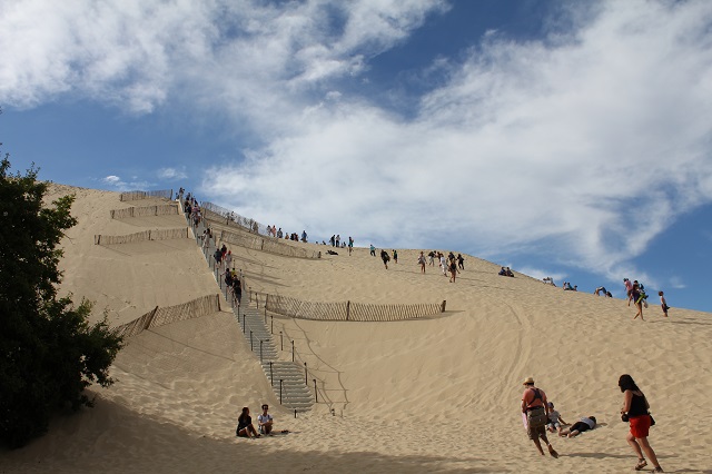 Аркашон - столица устриц